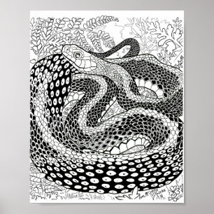 Gardener Snake Study Beyond the Skin Coloring Page Poster