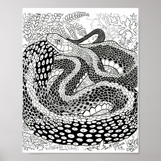Gardener Snake Study Beyond the Skin Coloring Page Poster (Front)