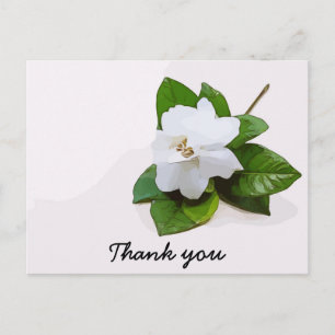 Gardenia flowers Sympathy Thank You Flat Card