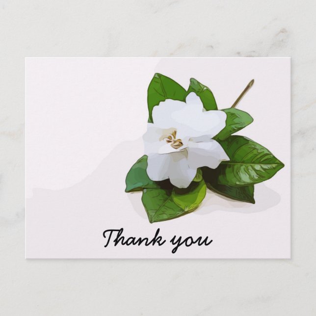 Gardenia flowers Sympathy Thank You Flat Card (Front)