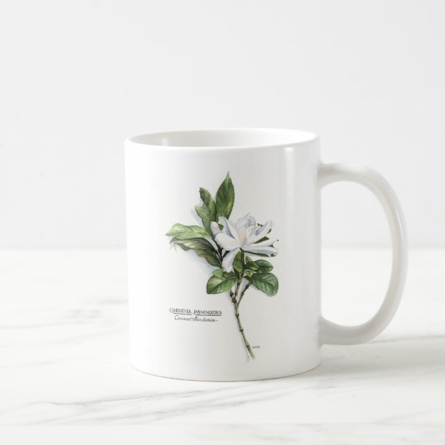 Gardenia Jasminoides (Common Gardenia) Coffee Mug (Right)