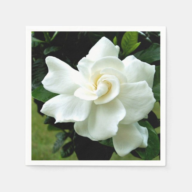 Gardenia Napkins (Front)