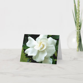 Gardenia Note Card