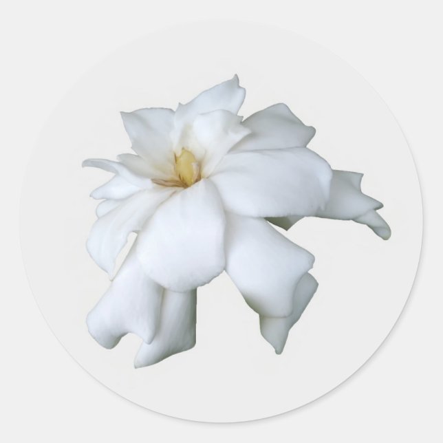 Gardenia Stickers (Front)