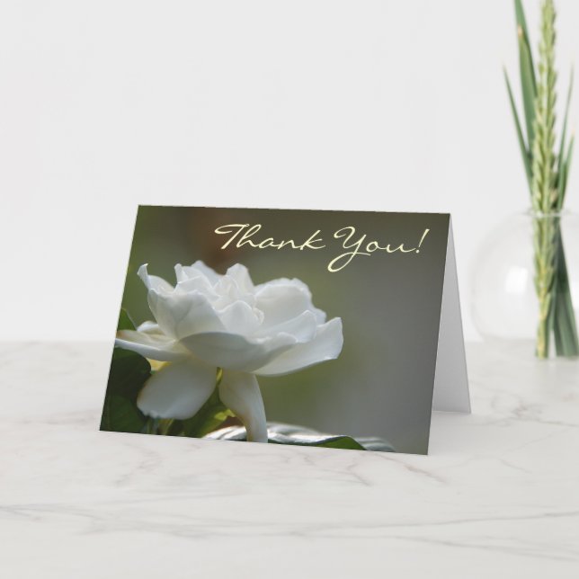 Gardenia Thank You Card (Front)
