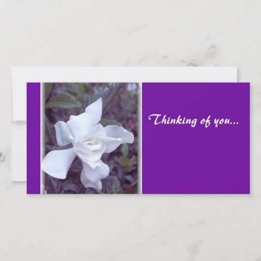 Gardenia tint Thinking of you... (Front)