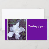 Gardenia tint Thinking of you... (Front/Back)