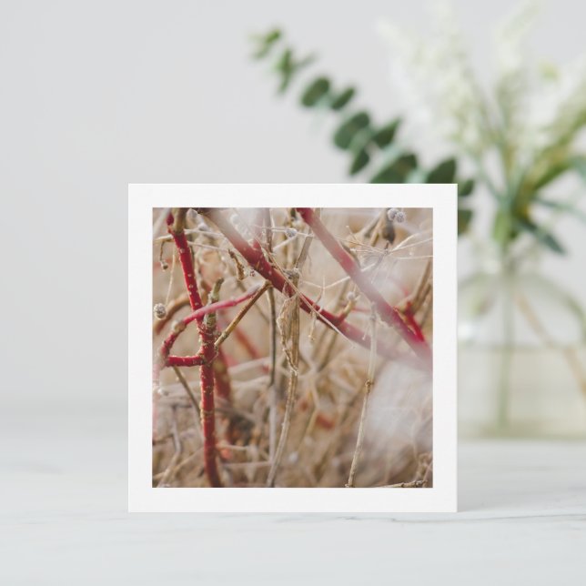 Gardening Business Cards Wild Roses (Standing Front)