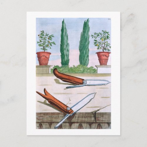 Gardening Knife from Hesperides by Giovanni Bat Postcard