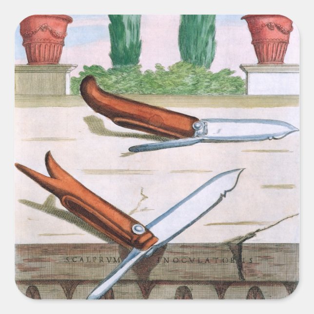 Gardening Knife, from 'Hesperides' by Giovanni Bat Square Sticker (Front)