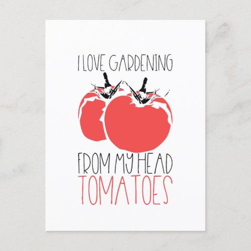 Gardening Tomatoes  Postcard