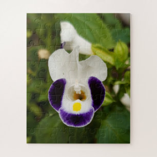 Gardenorchid flower , bloom jigsaw puzzle