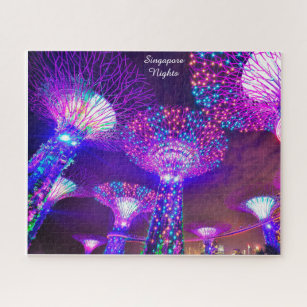 Gardens along the Bay Singapore . Jigsaw Puzzle