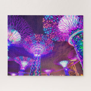 Gardens along the Bay Singapore . Jigsaw Puzzle
