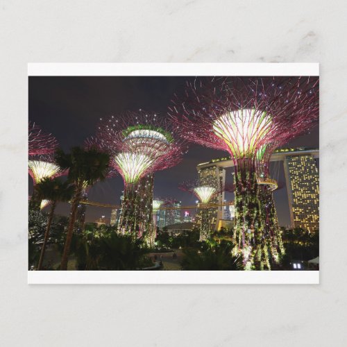 Gardens by the Bay Singapore Supertree Grove Postcard