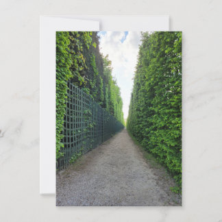 Gardens of Versailles Photo Greetings Card