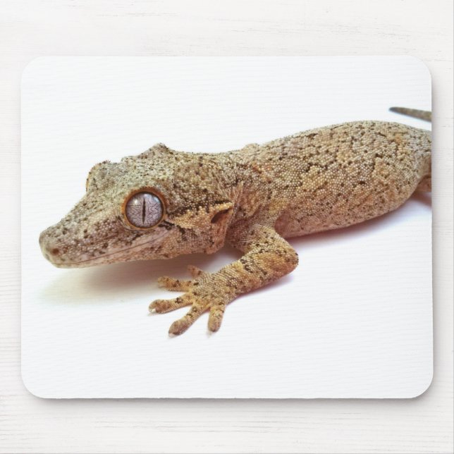 Gargoyle Gecko mouse pad (Front)
