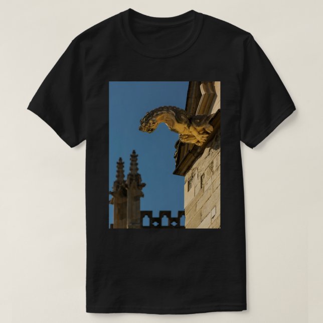 Gargoyles on York Minister Long  T-Shirt (Design Front)