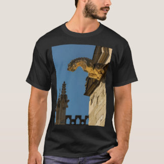 Gargoyles on York Minister Long T-Shirt