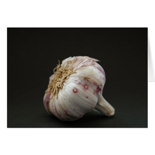 Garlic (Front Horizontal)