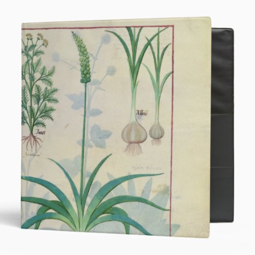 Garlic and other plants 3 ring binder