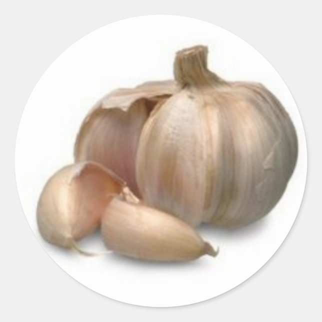 Garlic bulb classic round sticker (Front)