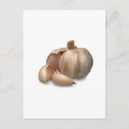 Garlic bulb postcard