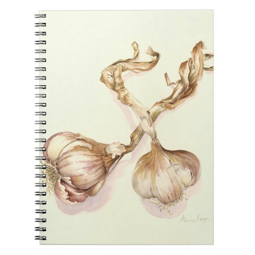 Garlic bulbs 2005 notebook