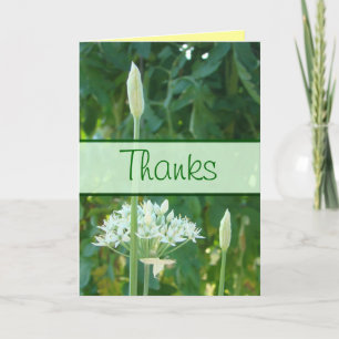 Garlic Chives Banner card-customize any occasion Letterpress Thank You Card
