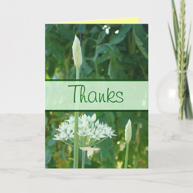 Garlic Chives Banner card-customize any occasion Thank You Card (Front)