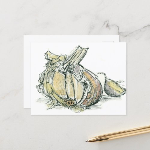 Garlic Herb Allium Medicinal Cooking Spice Drawing Postcard