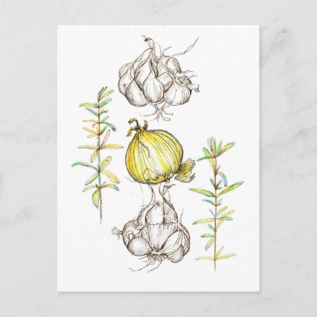 Garlic Onions Kitchen Cooking Herbs Garden Plant Postcard (Front)