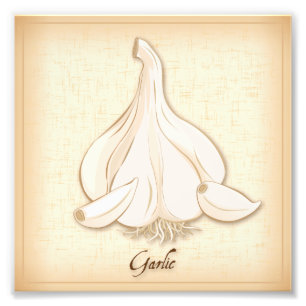 Garlic Photo Print