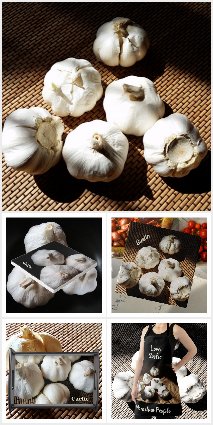 Garlic Photographic Culinary