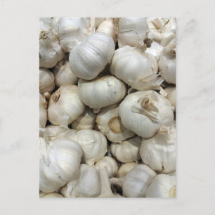 Garlic Postcard