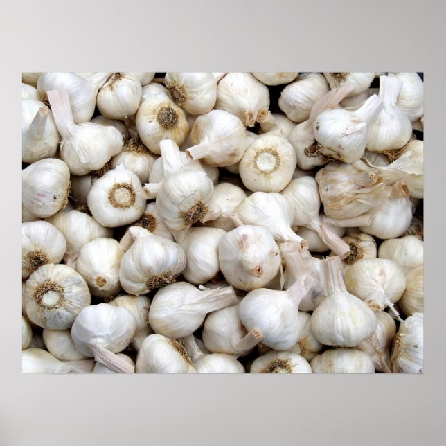 Garlic Poster (Front)