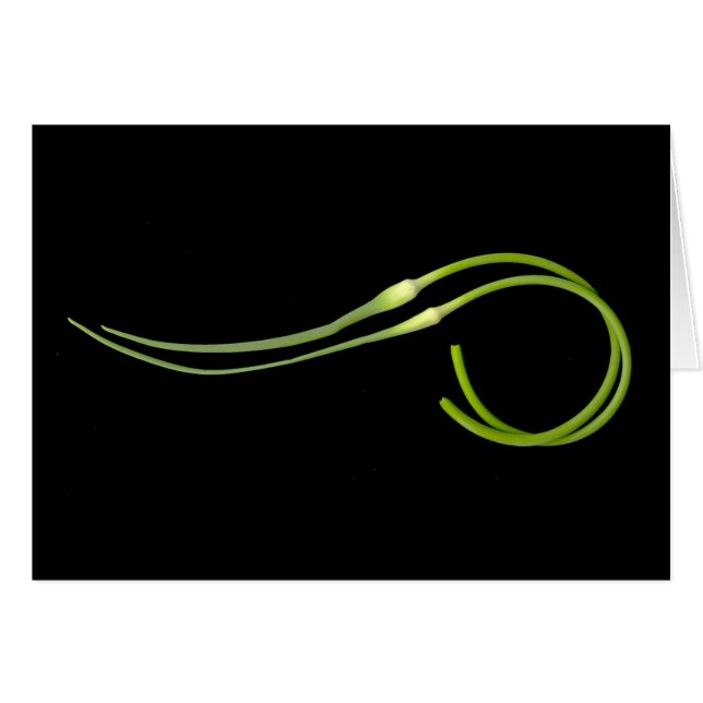 garlic scape cards (Front Horizontal)