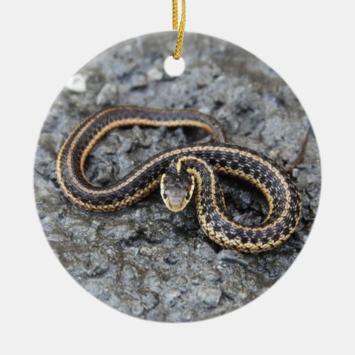 Garter Snake Ceramic Ornament