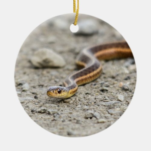 Garter Snake Ceramic Ornament