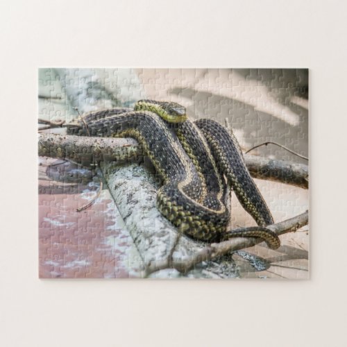 Garter Snake Jigsaw Puzzle