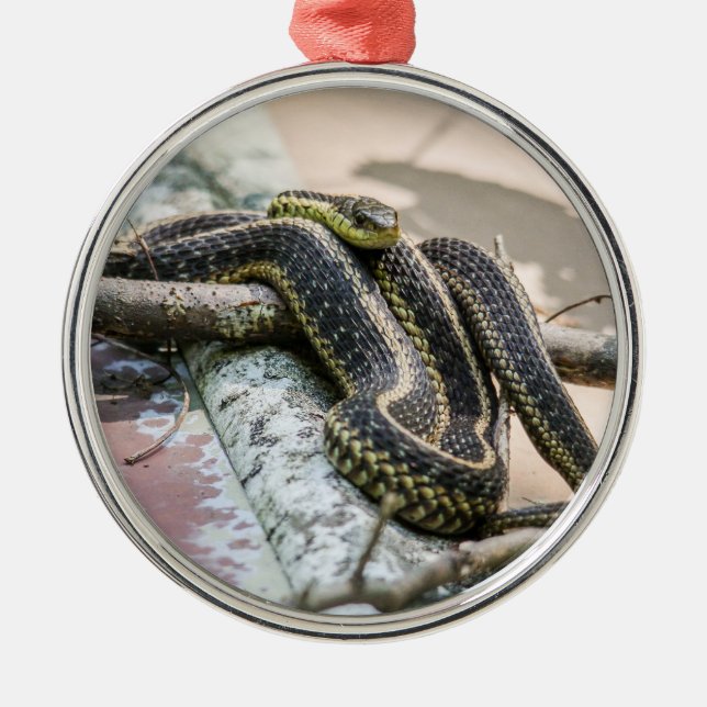 Garter Snake Metal Ornament (Front)