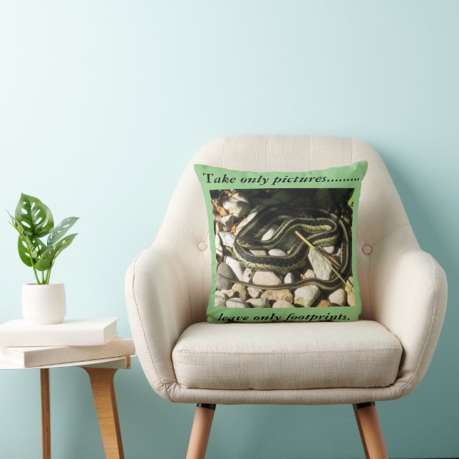 Garter Snake Take Only Pictures  Throw Pillow (Chair)