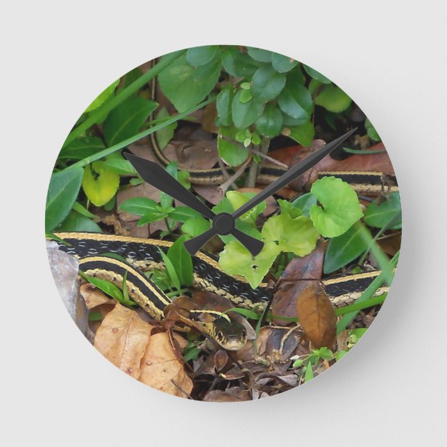 Garter Snake Wildlife Wall Clock (Front)