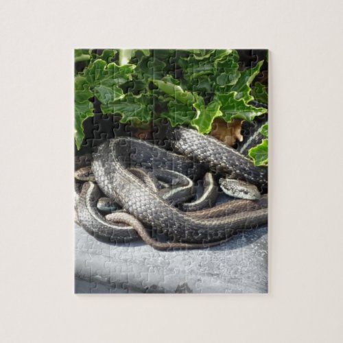 Garty and 2 friends _ my helpful Garter Snakes Jigsaw Puzzle