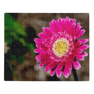 Garvinea Sweet Fiesta Gerber Daisy Jigsaw Puzzle