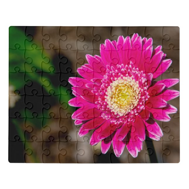 Garvinea Sweet Fiesta Gerber Daisy Jigsaw Puzzle (Puzzle Horizontal)