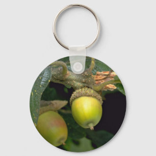 Gary oak tree fruit (quercus garryana) keychain