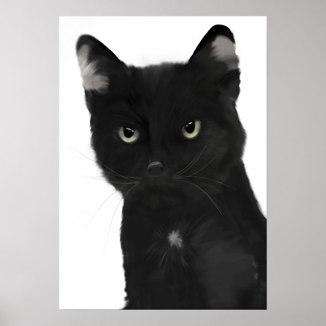 Gary the black cat poster (Front)