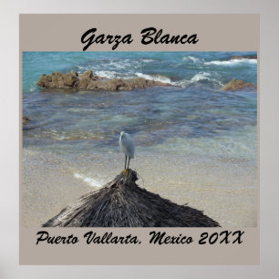 Garza Blanca in Puerto Vallarta aqua blue ocean Poster
