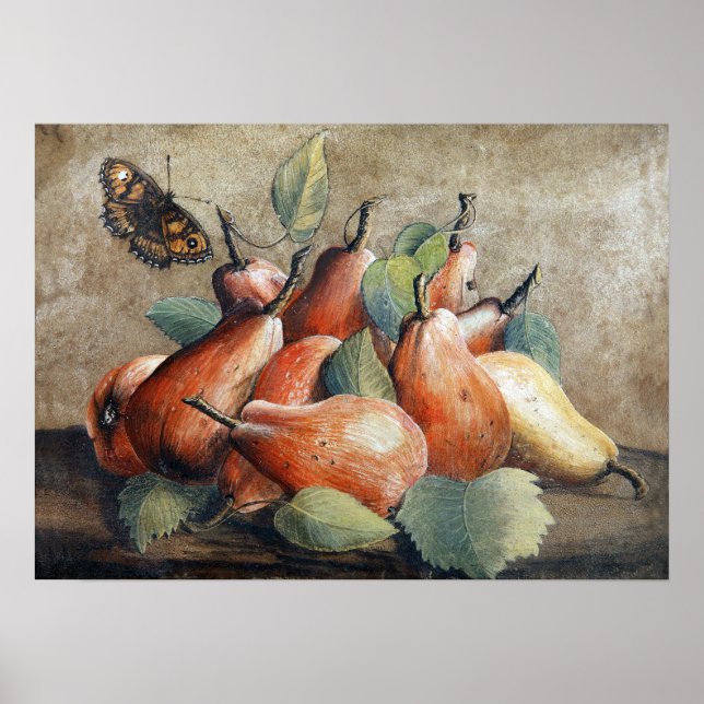 Garzoni - Still Life With Pears And A Butterfly Poster (Front)